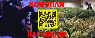 Альфа ПВП Гагарин