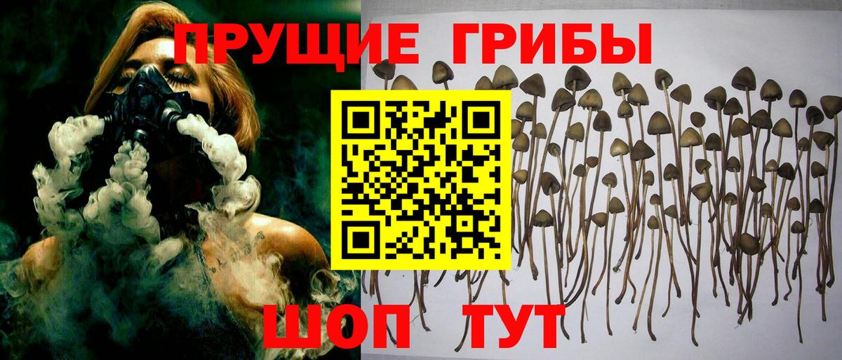 Галлюциногенные грибы ЛСД Мурино