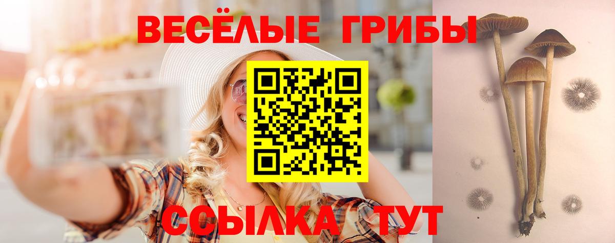 Галлюциногенные грибы ЛСД  Вход с VPN  купить наркоту  Псилоцибиновые грибы прущие грибы  Мурино 